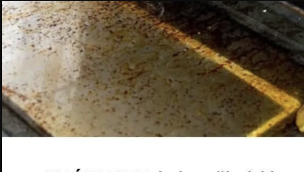 Tajna blistave pećnice: Jednostavan trik za čisto staklo BEZ rastavljanja! Tajna blistave pećnice: Jednostavan trik za čisto staklo BEZ rastavljanja!