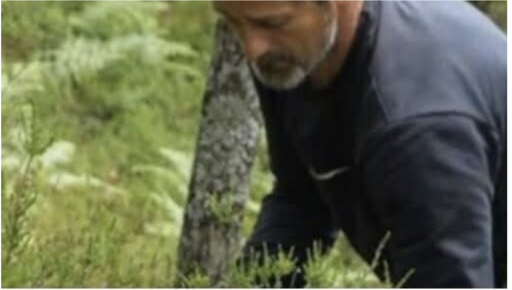 Od berbe borovnica sagradio kuću i kupio tri automobila