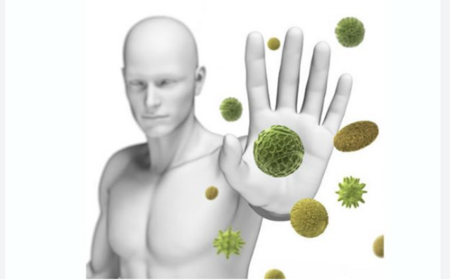 Omiljeni srpski lekar otkrio koje piće je eliksir života: Pijte ga svako jutro i bićete zdravi kao bikovi