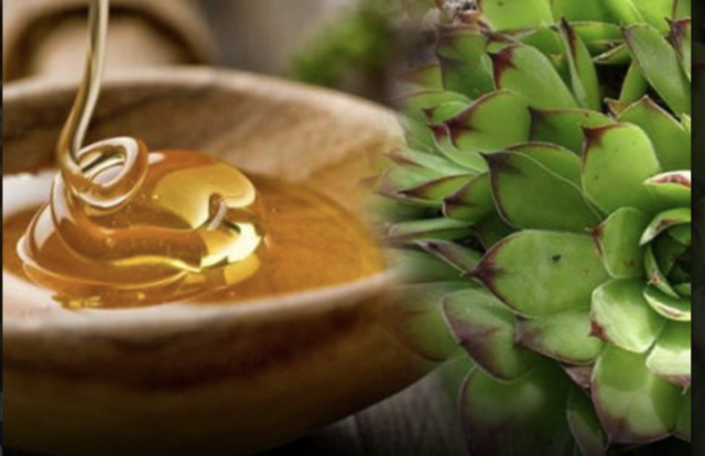 Screenshot 2025-12-22 at 23.38.05