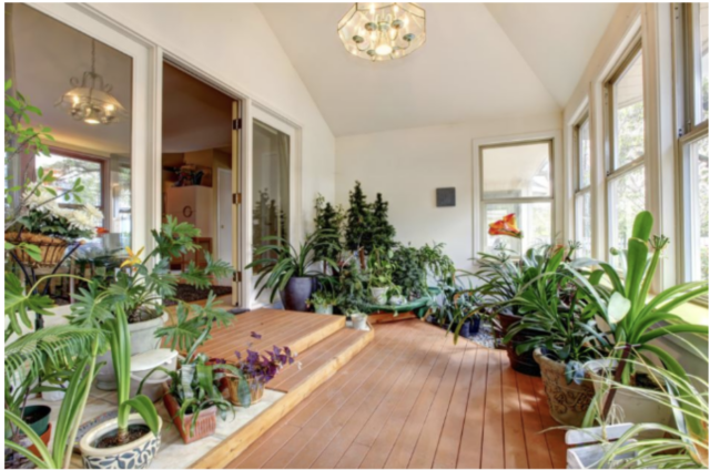 5 načina da napunite stan novcem: Staro feng šui pravilo koje deluje 5 načina da napunite stan novcem: Staro feng šui pravilo koje deluje