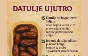 Datulje snižavaju kolesterol – Narodni Lijek