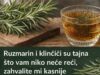 Ruzmarin i klinčić: tajna koju vam rijetko ko otkrije – zahvalit ćete kasnije