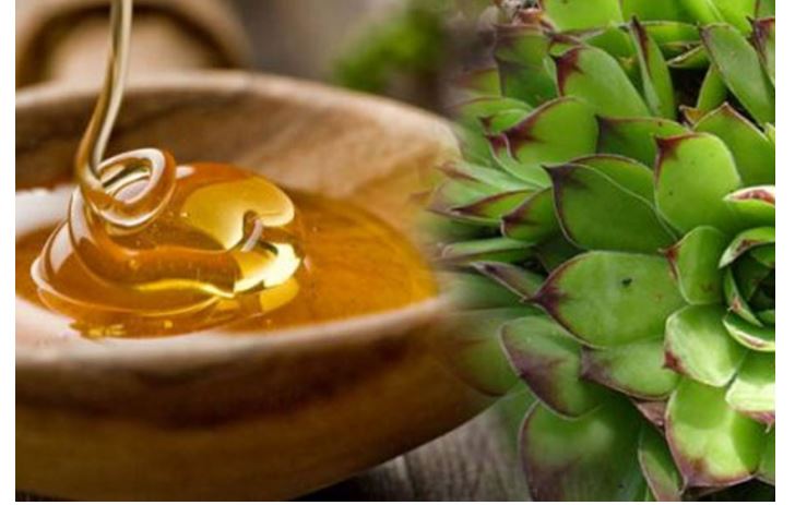 SVAKOG JUTRA PRIJE DORUČKA JELA JE LIST ČUVARKUĆE- Evo šta joj se desilo poslije mjesec dana