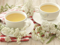 LIKER OD HAJDUČKE TRAVE JE BOŽJE PIĆE: Pomaže KOD angine pektoris, gastritisa i gihta sve DO reumatizma i čireva (RECEPT)