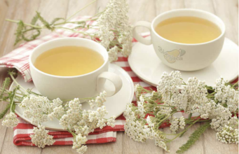 LIKER OD HAJDUČKE TRAVE JE BOŽJE PIĆE: Pomaže KOD angine pektoris, gastritisa i gihta sve DO reumatizma i čireva (RECEPT)