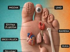 Refleksologija stopala – mapa organa na stopalu i njihovo značenje