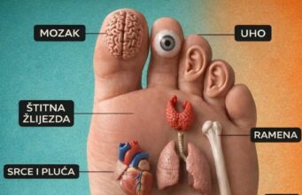 Refleksologija stopala – mapa organa na stopalu i njihovo značenje
