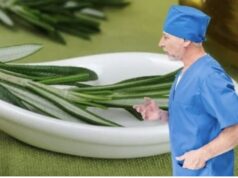 OVA MOĆNA BILJKA POBOLJŠAVA CIRKULACIJU KRVI U MOZGU, NEOPHODNA JE ZA ASTMU, GIHT…