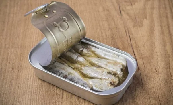 JEDITE SARDINE ČEŠĆE I ŽIVJET ĆETE DUGO I BEZ BOLESTI – EVO ZAŠTO!