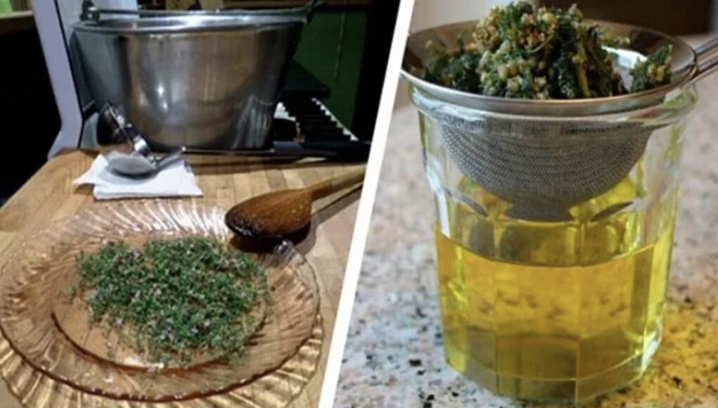 ČAJ ZLATA VRIJEDAN: Zaboravite na vrtoglavicu, visok holesterol i bolesti štitne žlijezde