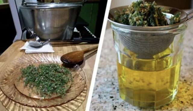 ČAJ ZLATA VRIJEDAN: Zaboravite na vrtoglavicu, visok holesterol i bolesti štitne žlijezde