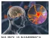 NAJBOLJA NAMIRNICA PROTIV DEMENCIJE, MNOGI JE RIJETKO KAD JEDU: Hrani Mozak I Čuva Pamćenje, Uzimajte Jednom Sedmično! NAJBOLJA NAMIRNICA PROTIV DEMENCIJE