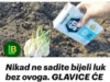 Nikad ne sadite bijeli luk bez ovoga. GLAVICE ĆE BITI ZDRAVE I KRUPNE