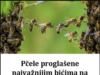 Pčele PR0GLAŠENE najvažnijim bićima na planeti bez kojih nema ŽIV0TA
