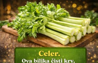 Čisti jetru 150 puta jače od bijelog luka i limuna: Bakin čudesni recept