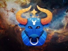 NEVJEROVATNO ALI ISTINITO – Bikove čeka preokret kakav niko nije mogao predvidjeti!