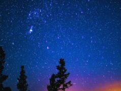 BIK – NE OTVARAJTE OVO AKO NISTE SPREMNI NA ISTINU: Ono što vas čeka je toliko neverovatno da mnogi nisu mogli da poveruju!